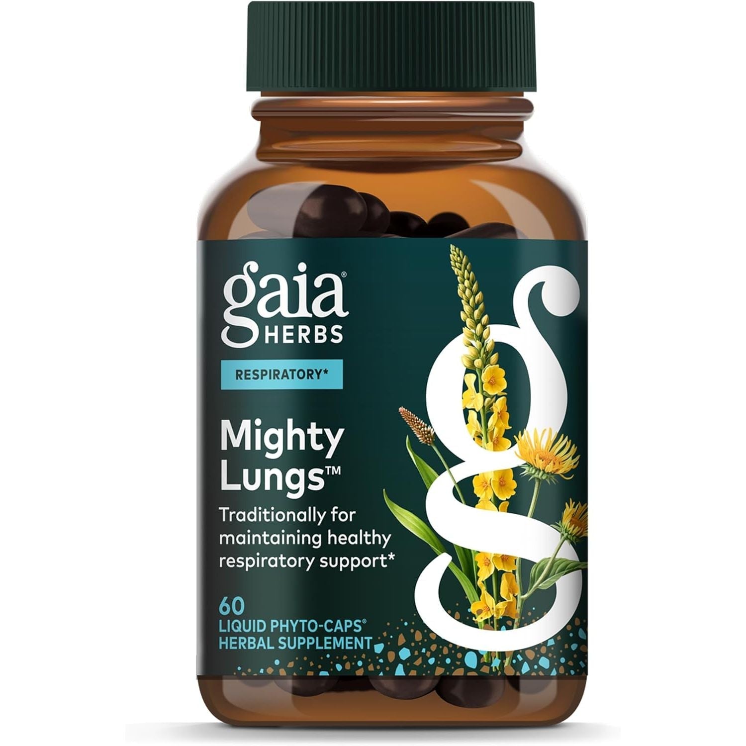 Buy now Gaia Herbs Mighty Lungs - Lung Support Supplement to Help Maintain Overall Lung & Respiratory Health* - With Mullein, Plantain, Schisandra & Elecampane - 60 Vegan Liquid Phyto-Capsules (30-Day Supply) at indiglob india