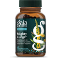 Buy now Gaia Herbs Mighty Lungs - Lung Support Supplement to Help Maintain Overall Lung & Respiratory Health* - With Mullein, Plantain, Schisandra & Elecampane - 60 Vegan Liquid Phyto-Capsules (30-Day Supply) Default at indiglob india