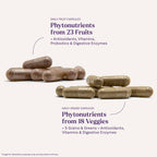 Natrol JuiceFestiv Vitamins and Supplements, 60 Capsules (2-Count) | For Nutrition & Well-being, Antioxidants for Cellular Health, Daily Fruit & Veggie Capsules, 120 Capsules, 30 Day Supply
