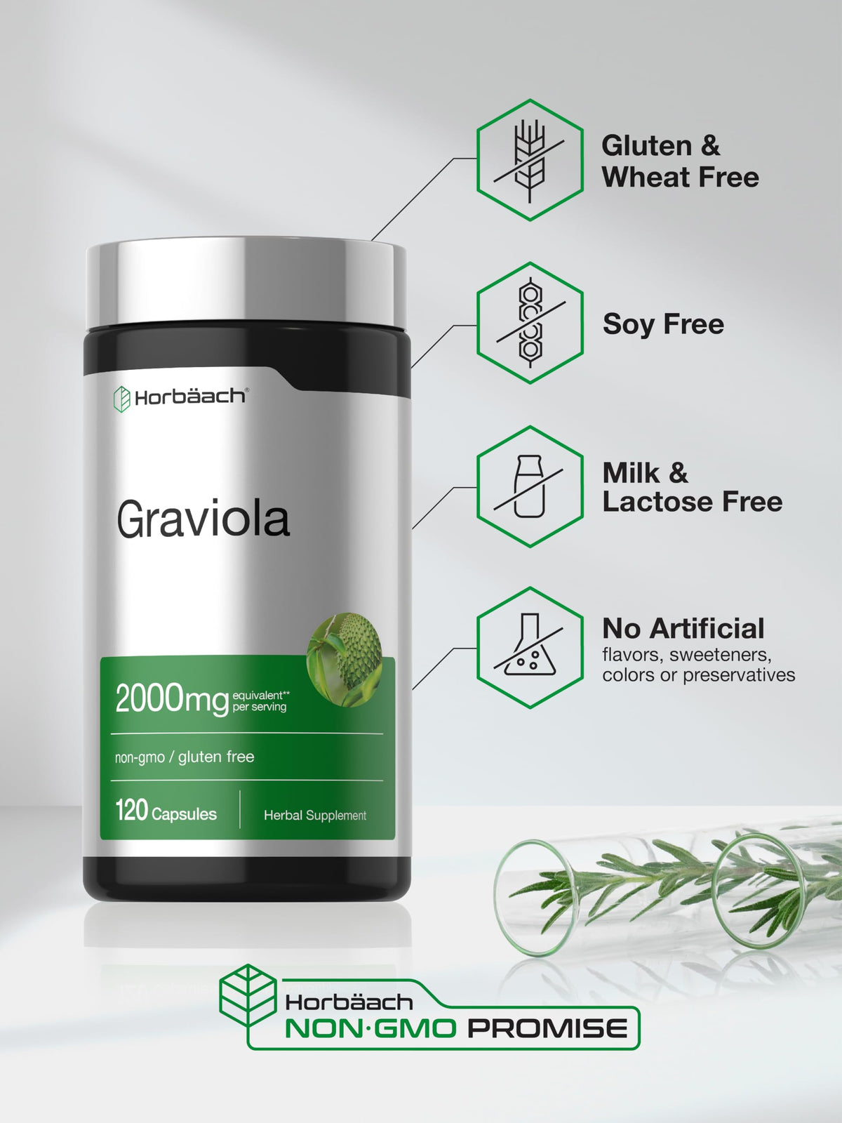 Horbäach Graviola Capsules | 120 Count | Soursop (Annona Muricata)