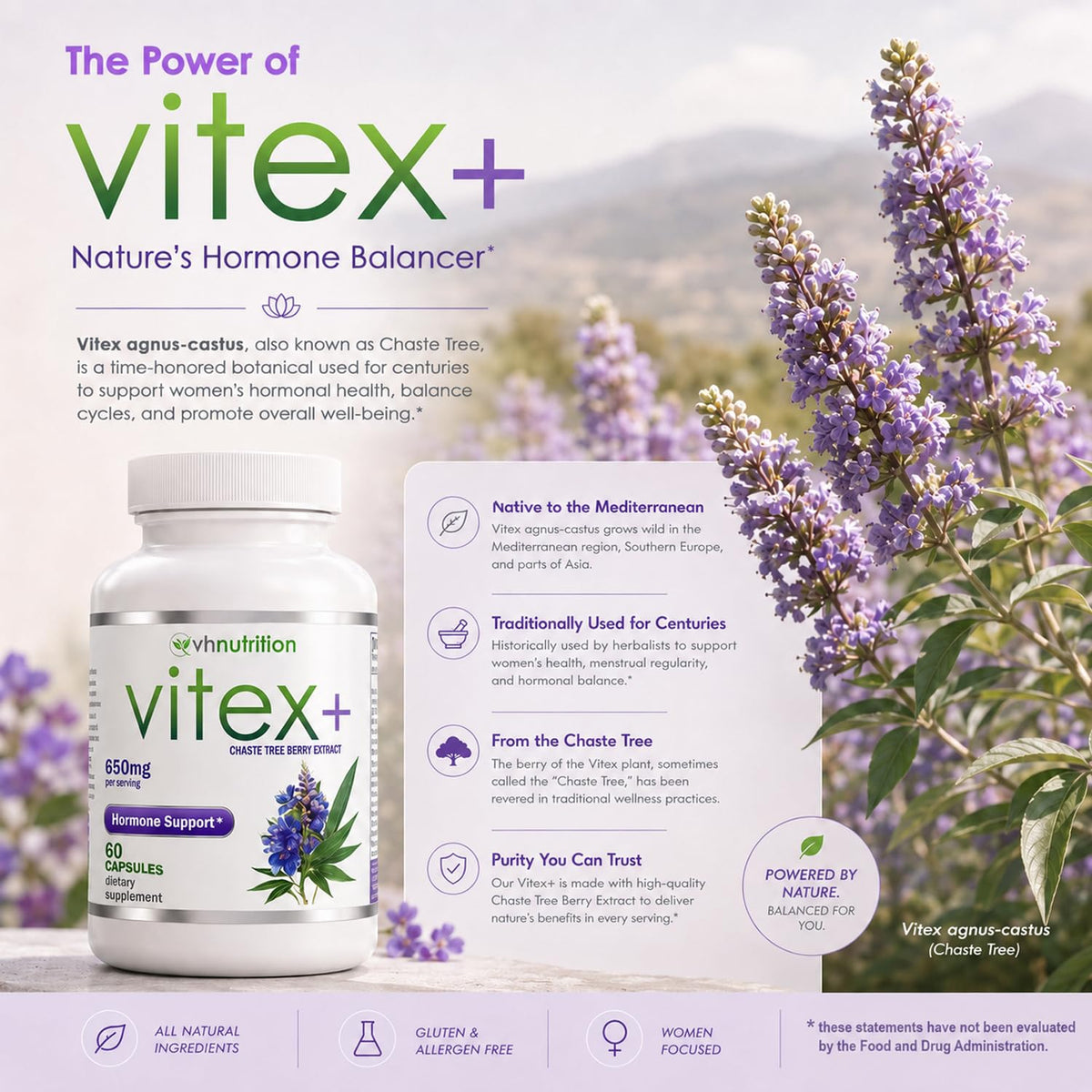 VH Nutrition VITEX+ | Vitex Chasteberry Supplement for Women | Hormonal Balance* and Fertility Support* | 650mg Per Serving of Vitex Berry Extract Powder | 60 Capsules