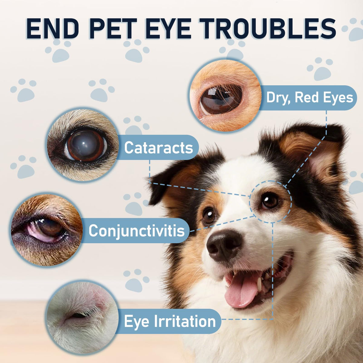 Dog & Cat Cataract Eye Drops & Infection Treatment – Vet-Recommended Formula for Cloudy, Itchy, Watery, Goopy Eyes and Pink Eye Treatment, Natural All-in-One Relief for Pet Eye Issues (2 X 10 ml)