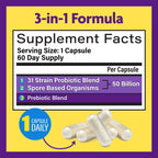 Buy now InnovixLabs Multi Strain Probiotics for Women & Men - Probiotic Supplement - 50 Billion CFU - Gut Health, Immune Support, Digestion, Lactobacillus Acidophilus, Prebiotics and Probiotics, 60 Capsules at indiglob india