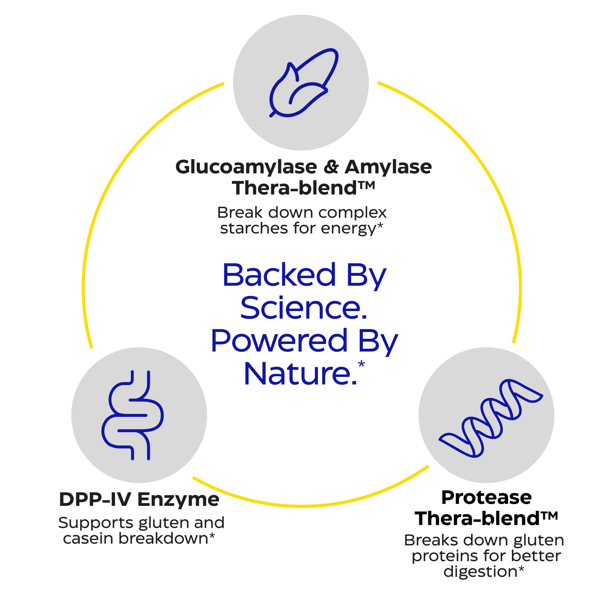 Enzymedica GlutenEase, Helps Gas & Bloating - 60 Capsules | Digestive Enzyme Supplement for Women & Men, Gluten & Casein Sensitivity Support, Enzymes for Digestion & Gut Health