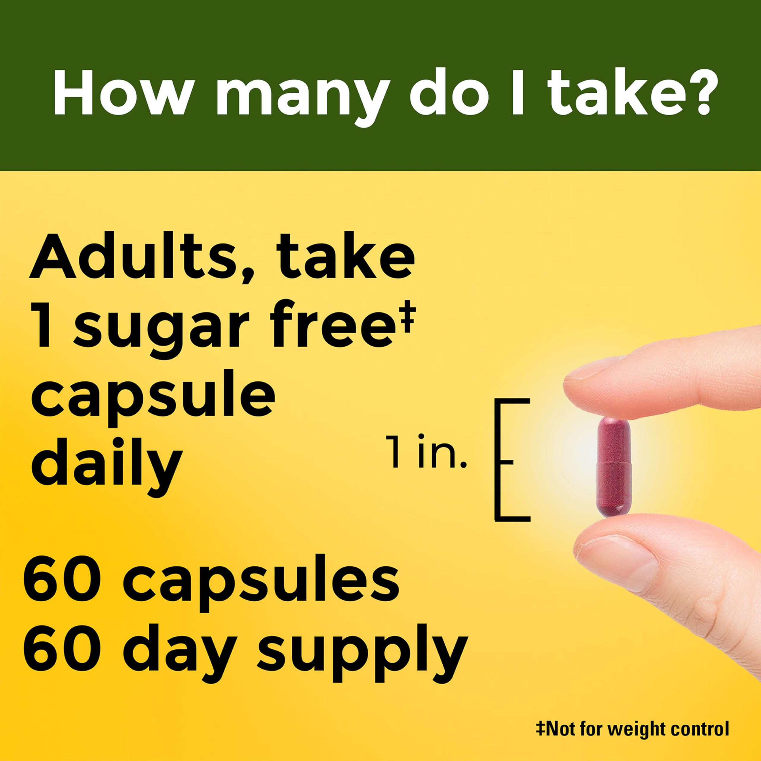 Nature Made Cranberry Supplement 500mg with Vitamin C, 60 Capsules | Cranberry Blend for Urinary Tract Health, For Immune & Antioxidant Support, Gluten Free, One Per Day, 60 Day Supply