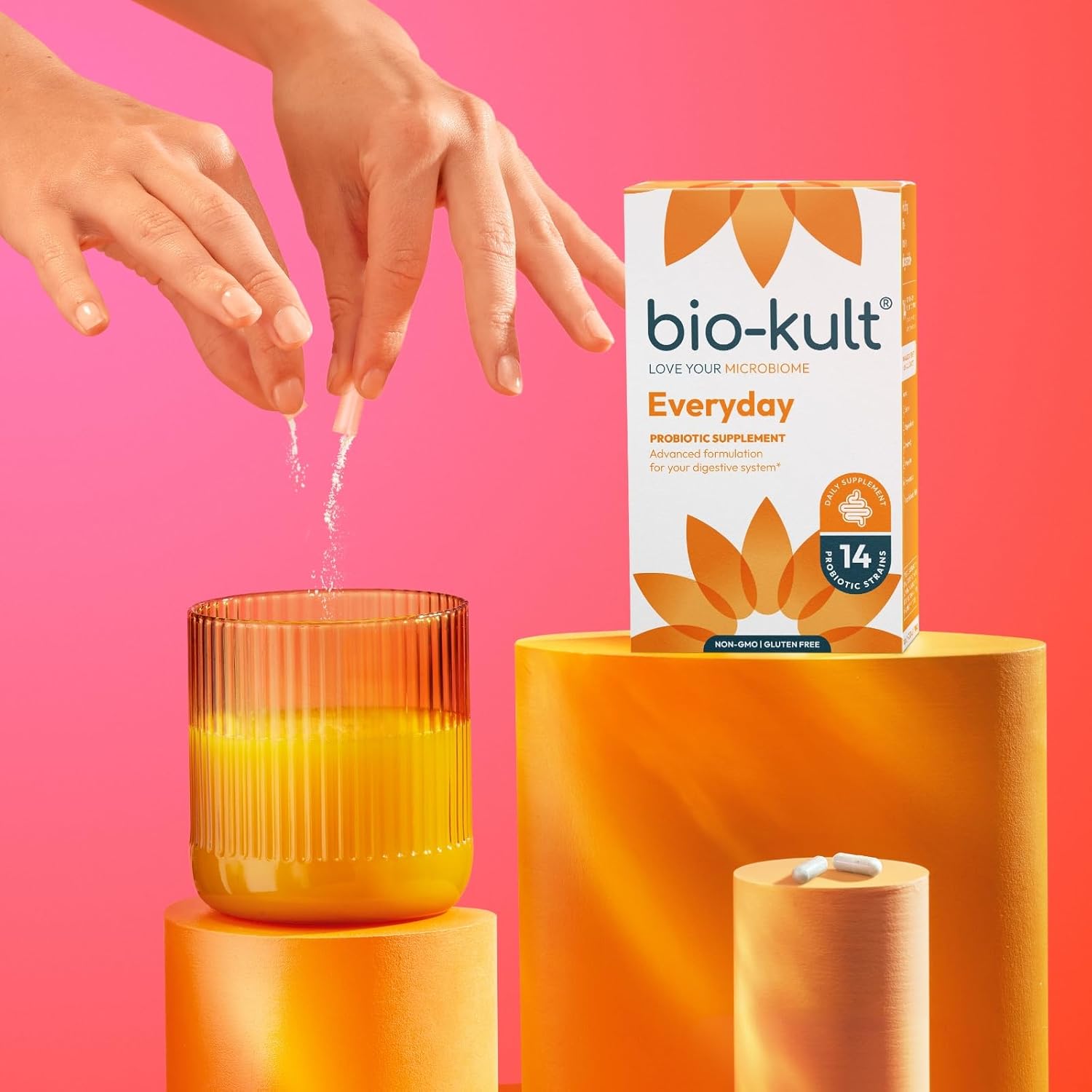 Buy now Bio-Kult Gut Health Probiotic Supplement, 14 Strains, Probiotics for Women & Men, Immune Support, Digestive Health, Shelf-Stable, Non-GMO and Gluten-Free, Capsules, 60 Count (Pack of 1) at indiglob india