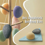 Buy now myHomeBody Natural Konjac Facial Sponges â€“ Teardrop Shape - for Gentle Face Cleansing and Exfoliation - with Activated Charcoal and Aloe Vera, Set of 4 at indiglob india
