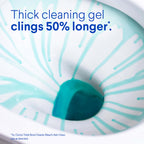 Buy now Clorox Toilet Bowl Cleaner Heavy Duty Stain and Ring Remover, Arctic Clean, 24 Fl Oz., Pack of 2 at indiglob india