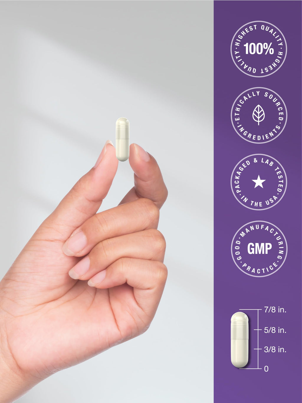 Horbäach Essential Digestive Enzymes | 250 Capsules