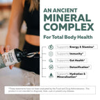 Flora Fulvic | Fulvic Acid + Humic Acid Complex – 550 mg | Mined in Utah, Prehistoric Deep Earth Extract | Immunity, Gut, Digestion – Natural Trace Mineral Complex, Fulvic Acid Supplement – 8 fl oz.
