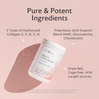 Alaya Multi Collagen Powder - Type I, II, III, V, X Hydrolyzed Collagen Peptides Protein Powder Supplement with MSM + GC (Unflavored) - NSF Certified - (40 Servings)