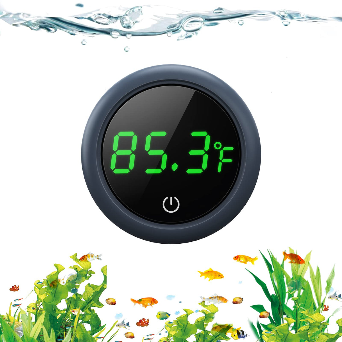 PAIZOO Aquarium Thermometer Digital, Highly Accurate Fish Tank Thermometer