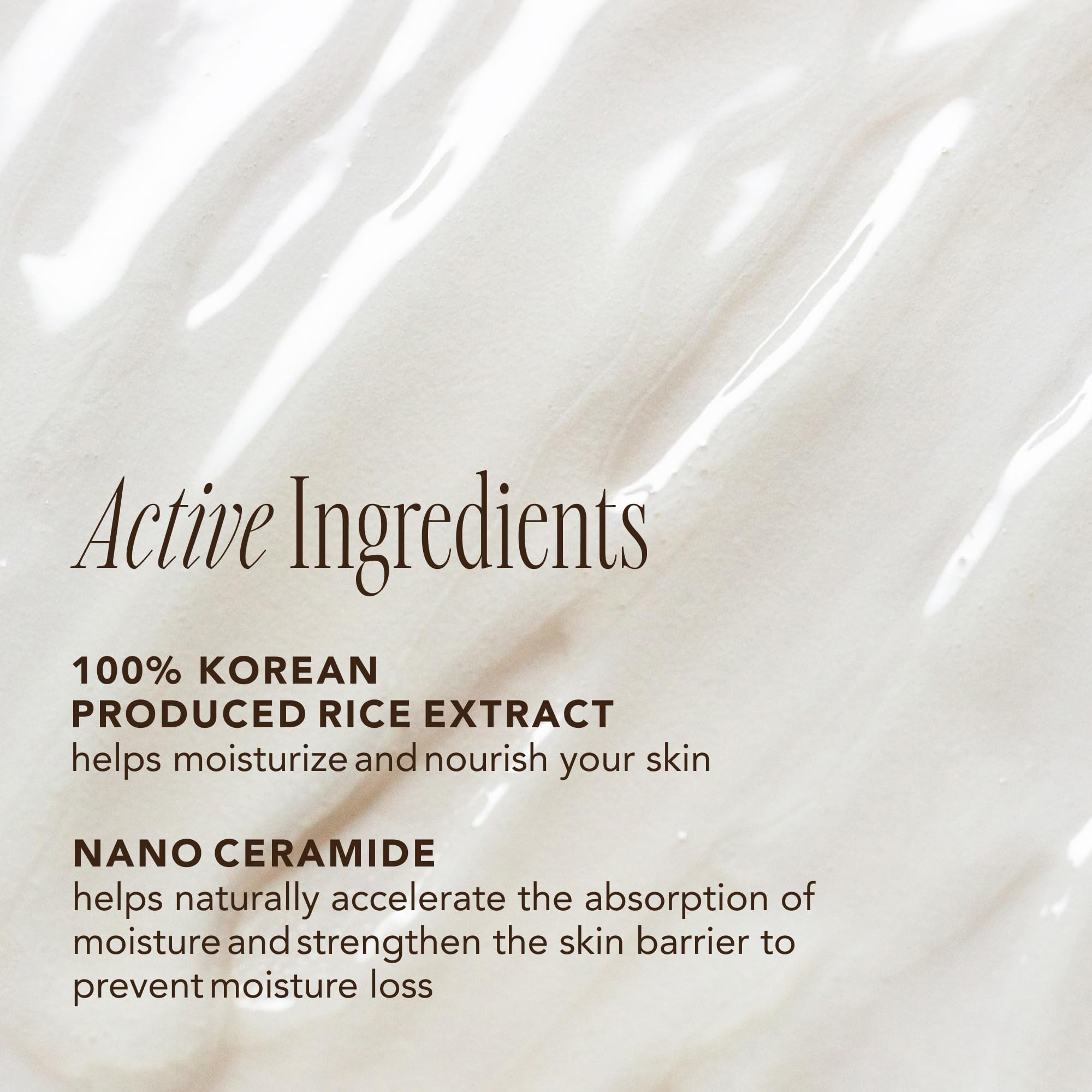 Buy now The Face Shop Rice Ceramide Moisturizing Emulsion - Rice Extract - Lightweight Face Moisturizer - Brightening - Hydrating Targets Dryness - Strengthens Skin Barrier - Face Lotion - Korean Skin Care at indiglob india