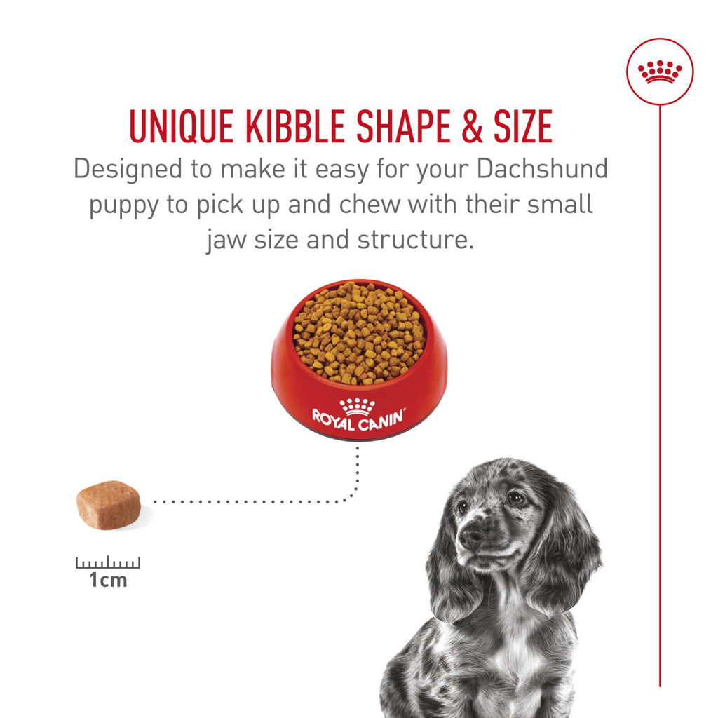 ROYAL CANIN Dachshund Puppy Dry Dog Food, 2.5 lb Bag