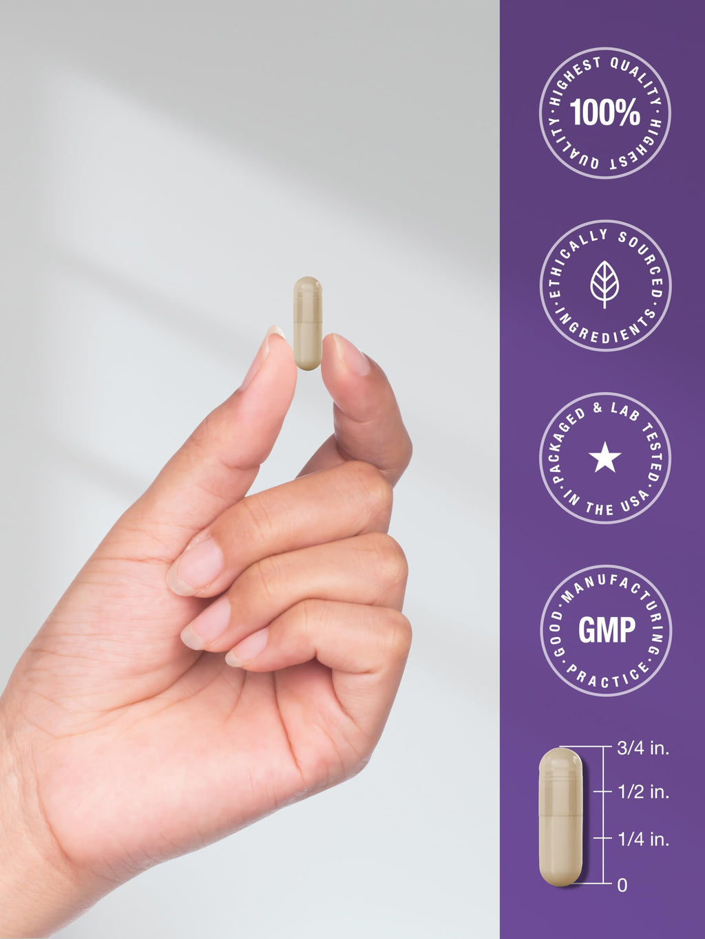 Horbäach Probiotic 100 Billion CFU | 60 Capsules | 31 Probiotic Strains