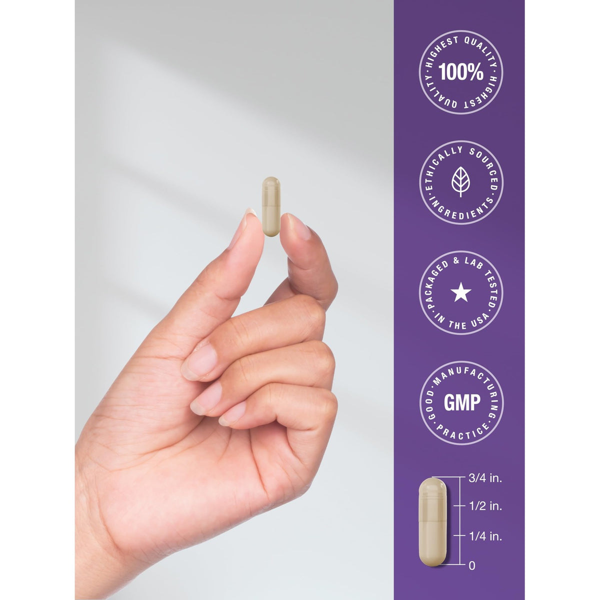 Horbäach Probiotic 100 Billion CFU | 60 Capsules | 31 Probiotic Strains