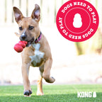 KONG Jerky Chicken Dog Treats, 5 oz, 2 Pack, for Medium/Large Dogs