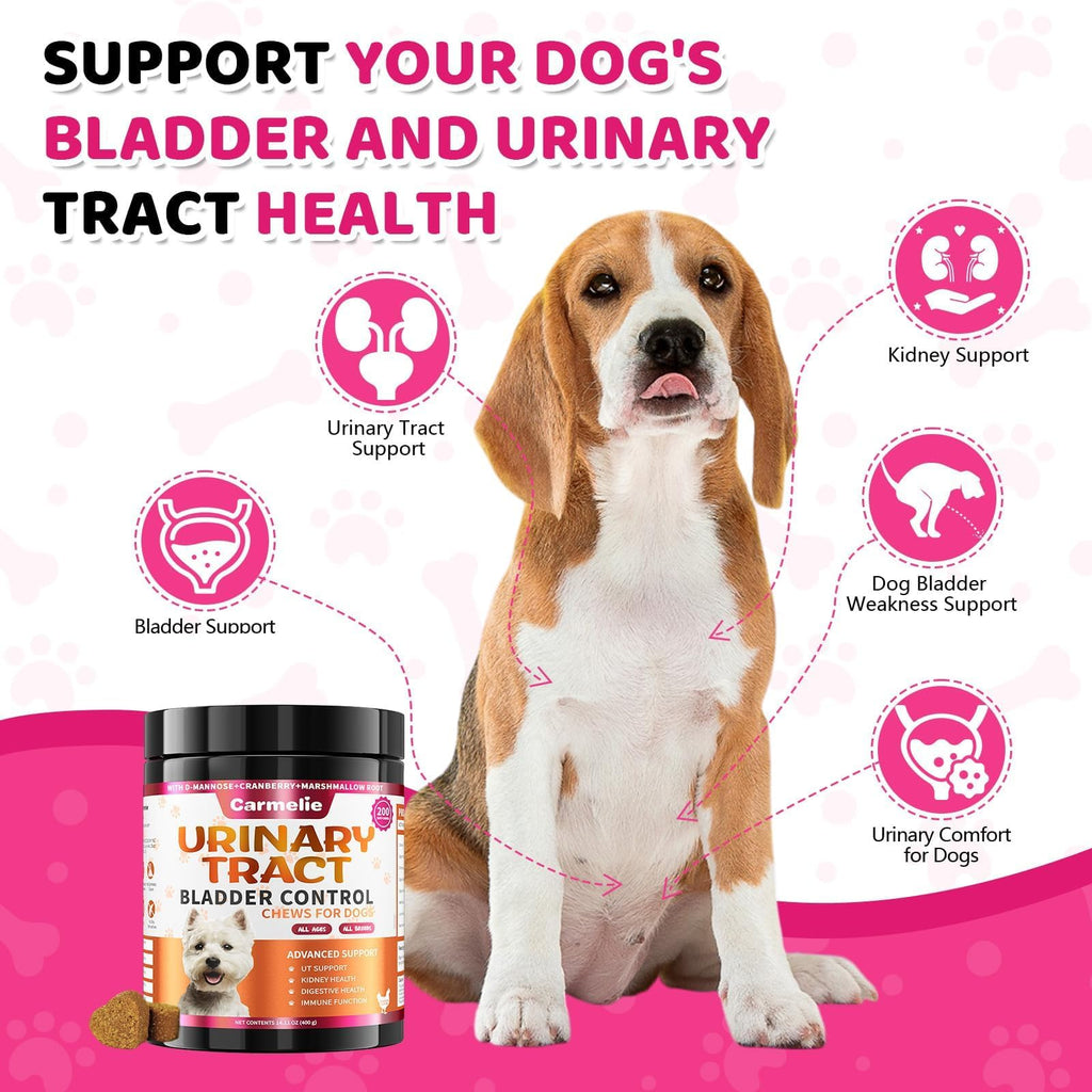 Cranberry for Dogs, Dog Urinary Tract & Bladder Support + D-Mannose, 200ct