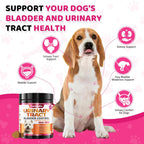 Cranberry for Dogs, Dog Urinary Tract & Bladder Support + D-Mannose, 200ct