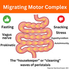 Motility Activator by Dr. Rajsree, MD | Digestive Support for Gas, Bloating & Occasional Constipation | Promotes Small Intestine Movement | Ginger & Artichoke Extract | 60 Capsules