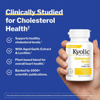Kyolic Aged Garlic Extract Cholesterol Health* Formula 104, 100 Capsules | Odorless Organically Grown Aged Garlic Extract and Lecithin to Support Healthy Cholesterol and Heart Health, GMO-Free
