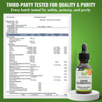 Benevolent Nourishment Chlorophyll Supplement, Detox & Immune Support, Internal Deodorizer, Liquid Drops | Highly Absorbable Supplement for Energy Support, Immune Wellness, Natural Cleansing, 4 Month Supply