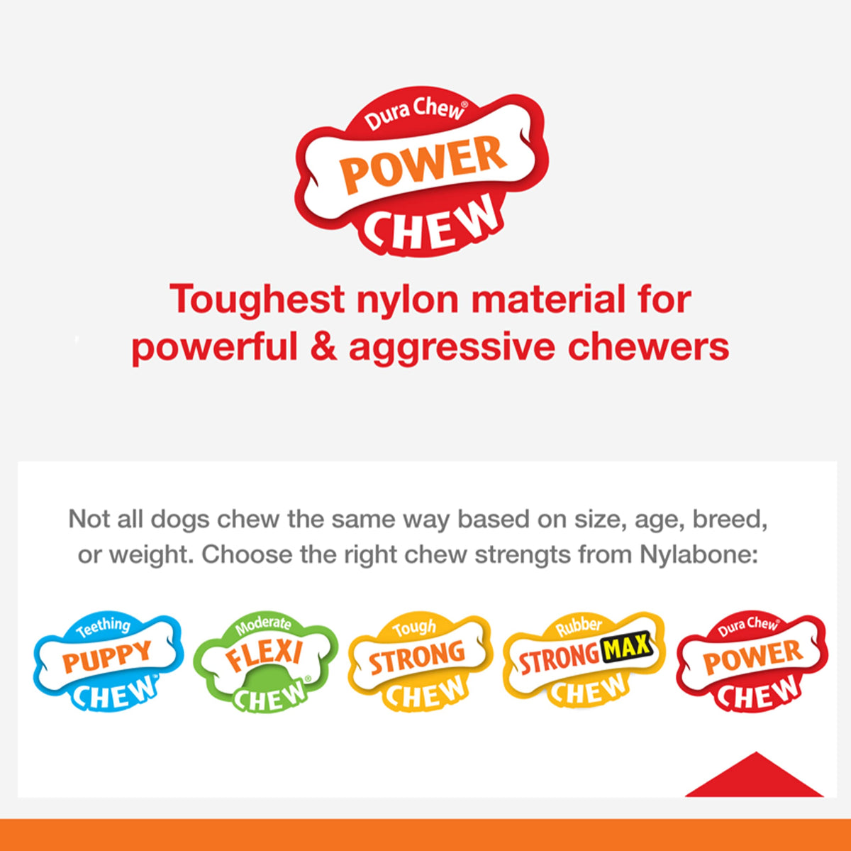 Nylabone Power Chew Easy Hold Bone Dog Chew Toy, Bacon Flavor, Large