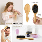 Buy now BESTOOL Hair Brush (Regular & Small), Boar Bristle Hair Brushes for Women Men Kids Thick Fine Curly Hair, Hairbrush for Detangling, Soften & Silky Shine at indiglob india