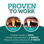 Twist + Lick Brush Free Dental Gel for Cats, 30 Day Supply, Fresh Breath