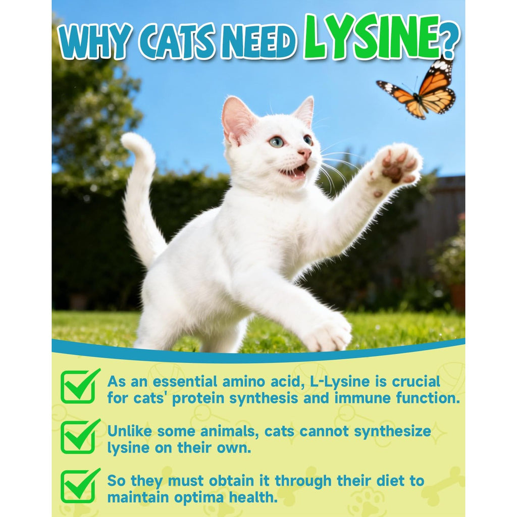 L Lysine for Cats Lysine, Cat Sneezing Cold Allergy Relief Immune 60ML