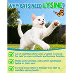 L Lysine for Cats Lysine, Cat Sneezing Cold Allergy Relief Immune 60ML