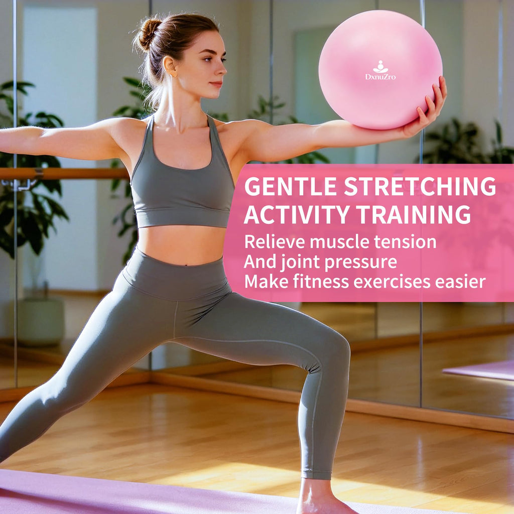 9 Inch Pink Pilates Ball, Exercise Stability Yoga Ball Small Exercise Ball with Air Pump for Core Workout, Balance Training, Home Gym, Office, Physical Therapy Anti-Burst PVC