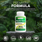 Buy now Best Naturals Mastic Gum 500 mg 60 Capsules at indiglob india