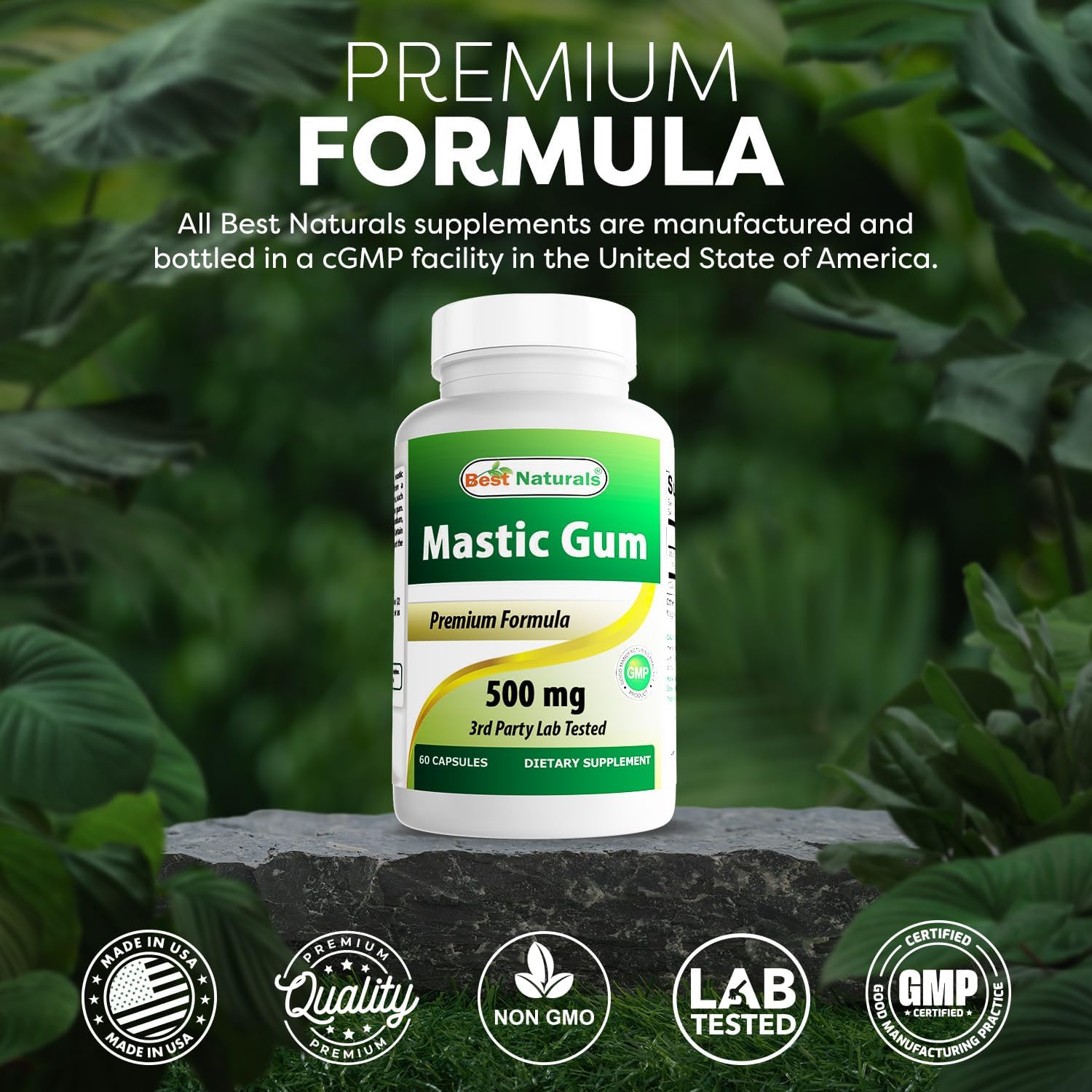 Buy now Best Naturals Mastic Gum 500 mg 60 Capsules at indiglob india