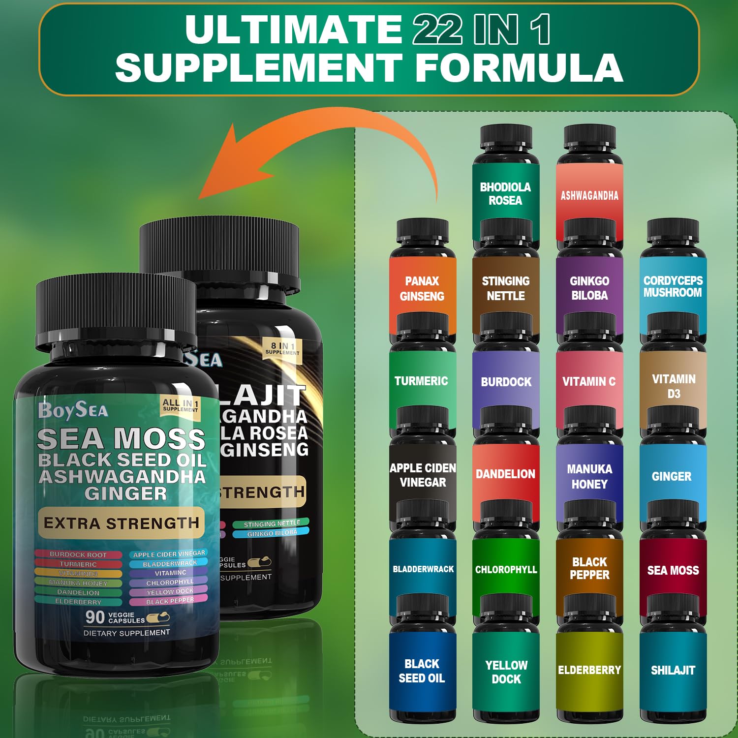 Boysea.Shilajit and Sea Moss Bundle - Sea Moss, Black Seed Oil, Ashwagandha, Ginger & Shilajit, Rhodiola Rosea, All in 1 Supplements - 540 Count