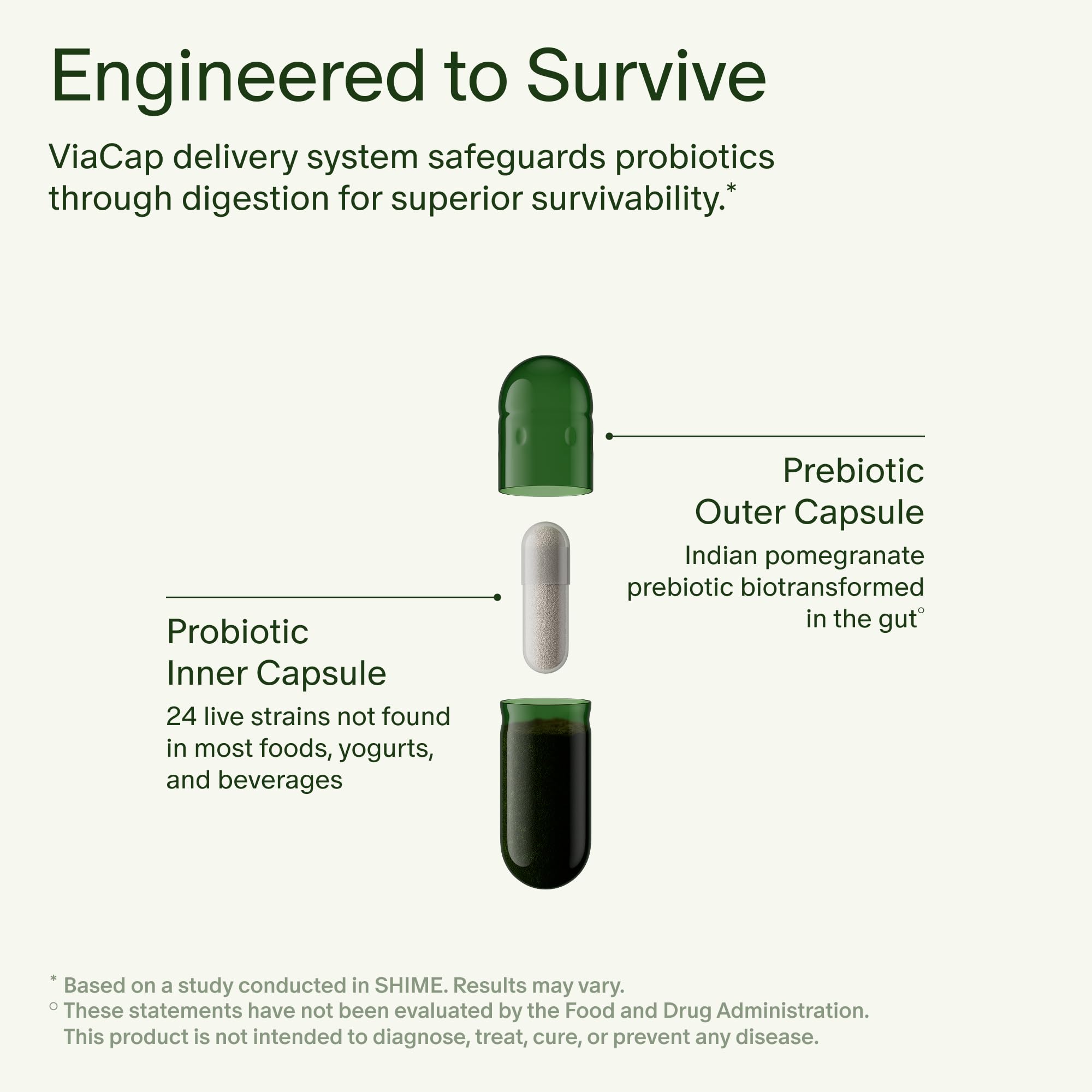 Seed 14 Day Gut Reset - for Adults - 14-Day Supply | 24-Strain Probiotic + Prebiotic - Rapid Gut Recovery - Reset After Travel, Stress, and Medications - Vegan Capsules