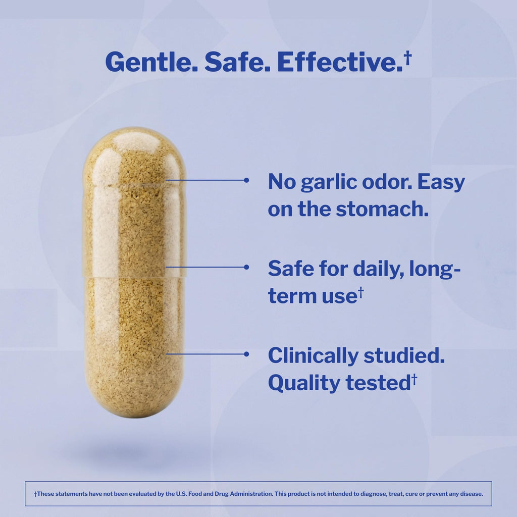Kyolic Aged Garlic Extract Cholesterol Health* Formula 104, 100 Capsules | Odorless Organically Grown Aged Garlic Extract and Lecithin to Support Healthy Cholesterol and Heart Health, GMO-Free