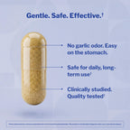 Kyolic Aged Garlic Extract Cholesterol Health* Formula 104, 100 Capsules | Odorless Organically Grown Aged Garlic Extract and Lecithin to Support Healthy Cholesterol and Heart Health, GMO-Free