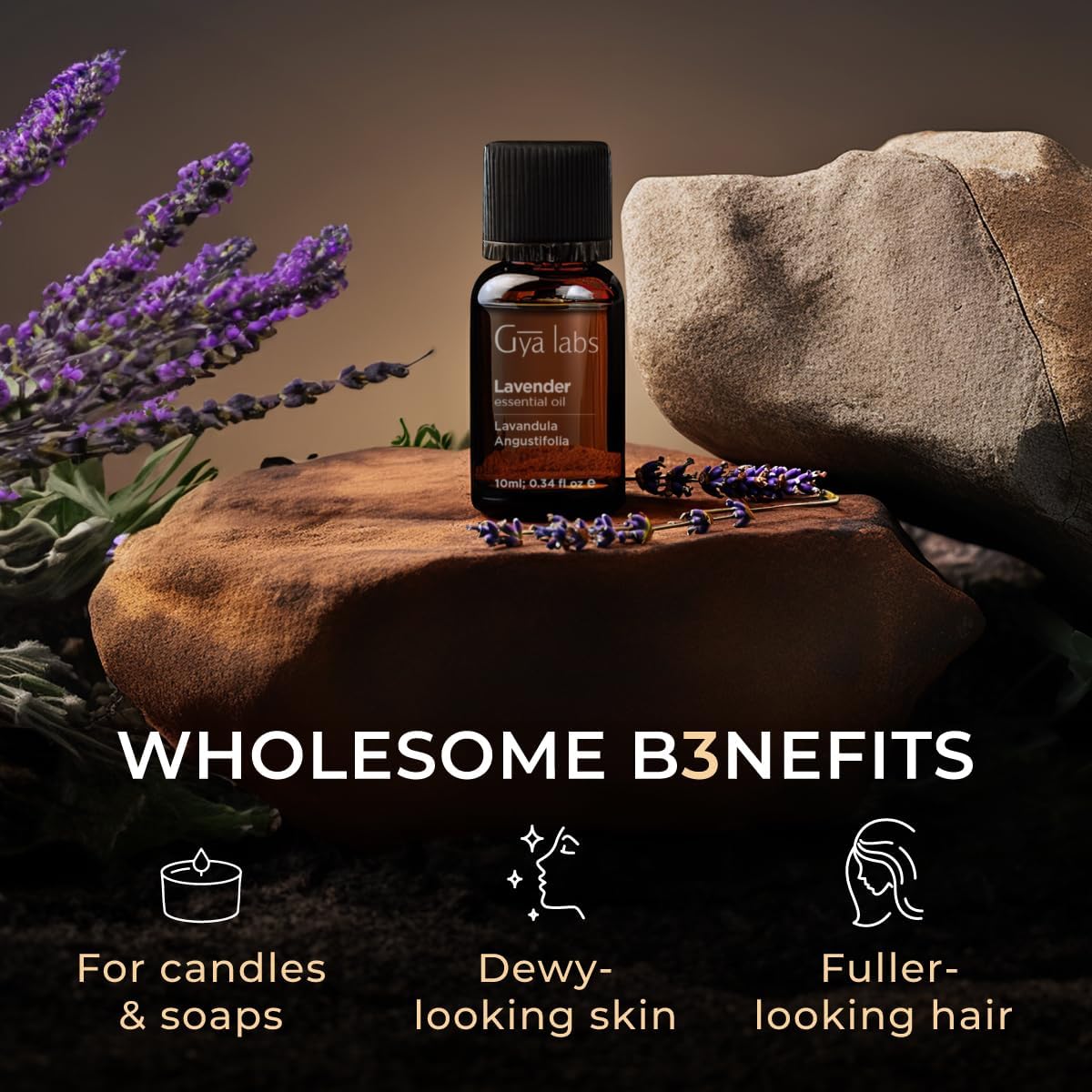 Buy now Gya Labs Lavender Essential Oil for Aromatherapy â€“ 0.34 Fl Oz â€“ Premium Grade Essential Oils for Diffuser, Aromatherapy, Hair Care, Skin Care, Body, Massage & DIY Candle Making Scents at indiglob india