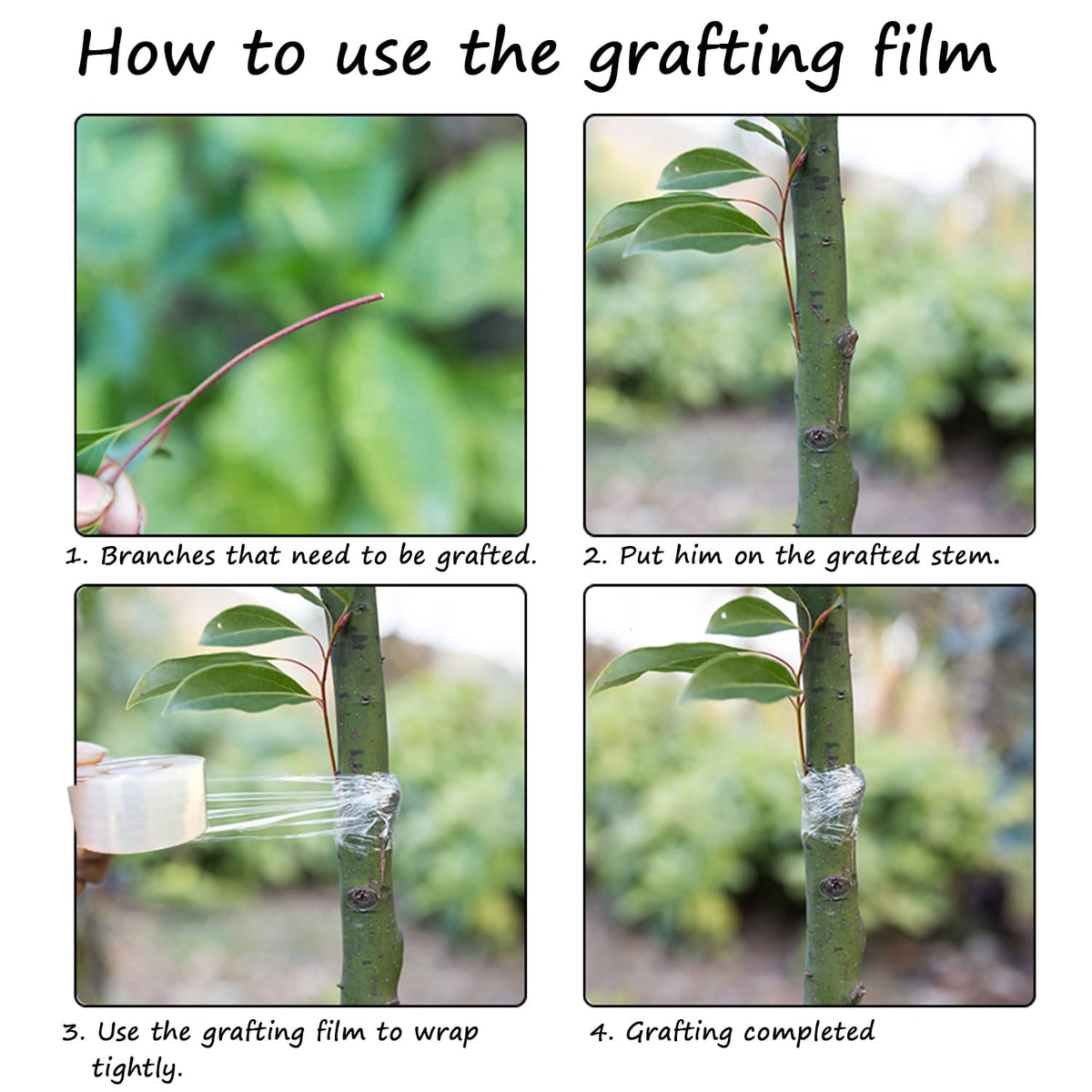 Grafting Tape Grafting Film for Plants, 2 Pack Stretchable Garden Grafting Tape Plants Repair Budding Tapes for Floral Fruit Tree and Poly Budding Tape