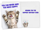 Funny Birthday Card for Women, Friends, Cat Lovers! Cute Kitten Photo