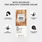 Buy now Clairol Professional Permanent Liquicolor for Black/Dark Violet Brown Hair Color with 100% Gray Coverage | Packaging May Vary at indiglob india