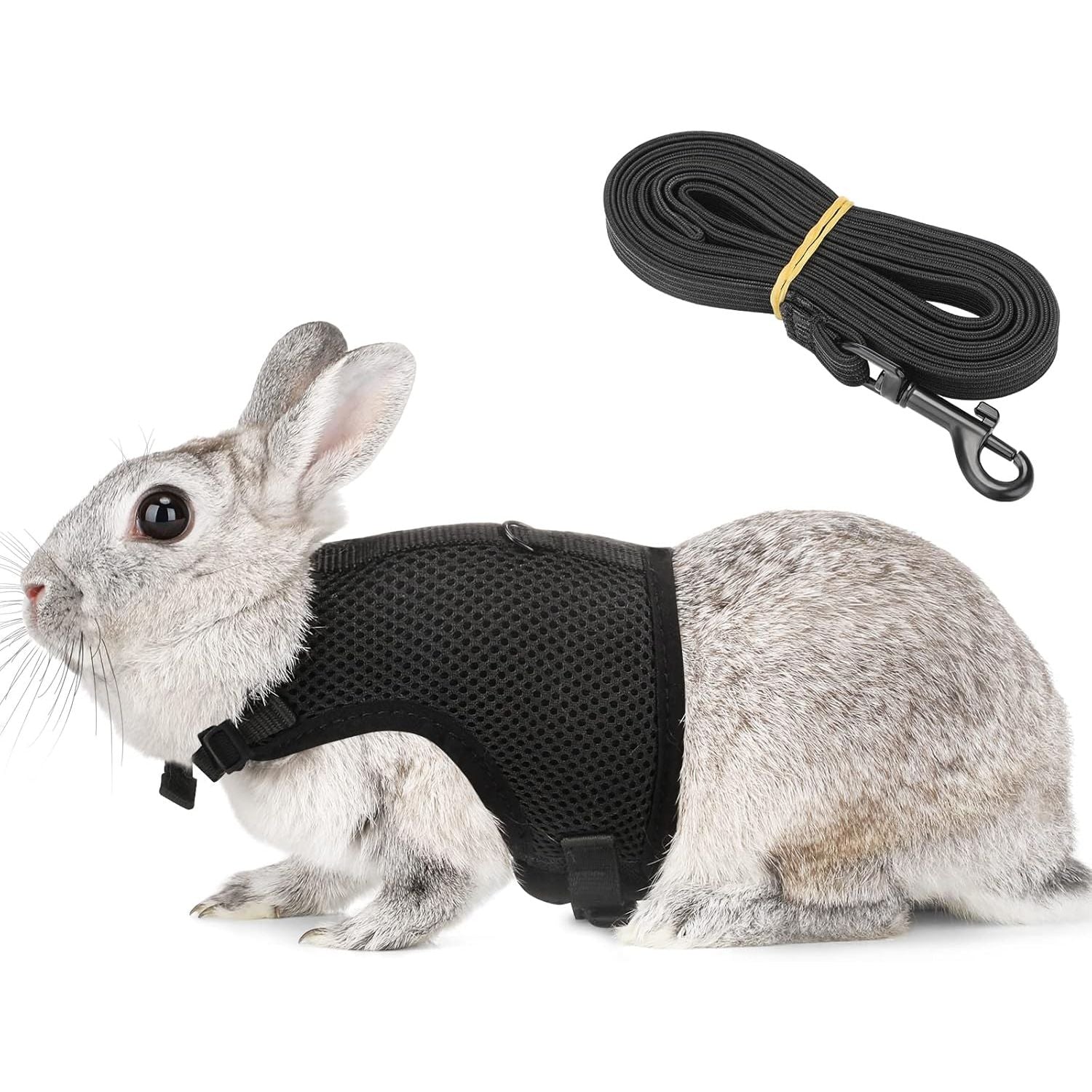 Buy now PETTOM Bunny Rabbit Harness with Stretchy Leash Cute Adjustable Buckle Breathable Mesh Vest for Kitten Small Pets Walking (Blue,S) XS(Chest:7.87-10.6 in) Black at indiglob india