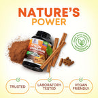 Organic Ceylon Cinnamon Capsules - Extra Strength Certified Organic Ceylon Cinnamon Supplement 1800mg Per Serving - Energy & Heart Support Antioxidant Pill for Women & Men, Bottled USA - 120 Capsules