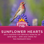 Audubon Park Sunflower Hearts Wild Bird Seed, 15-lb.
