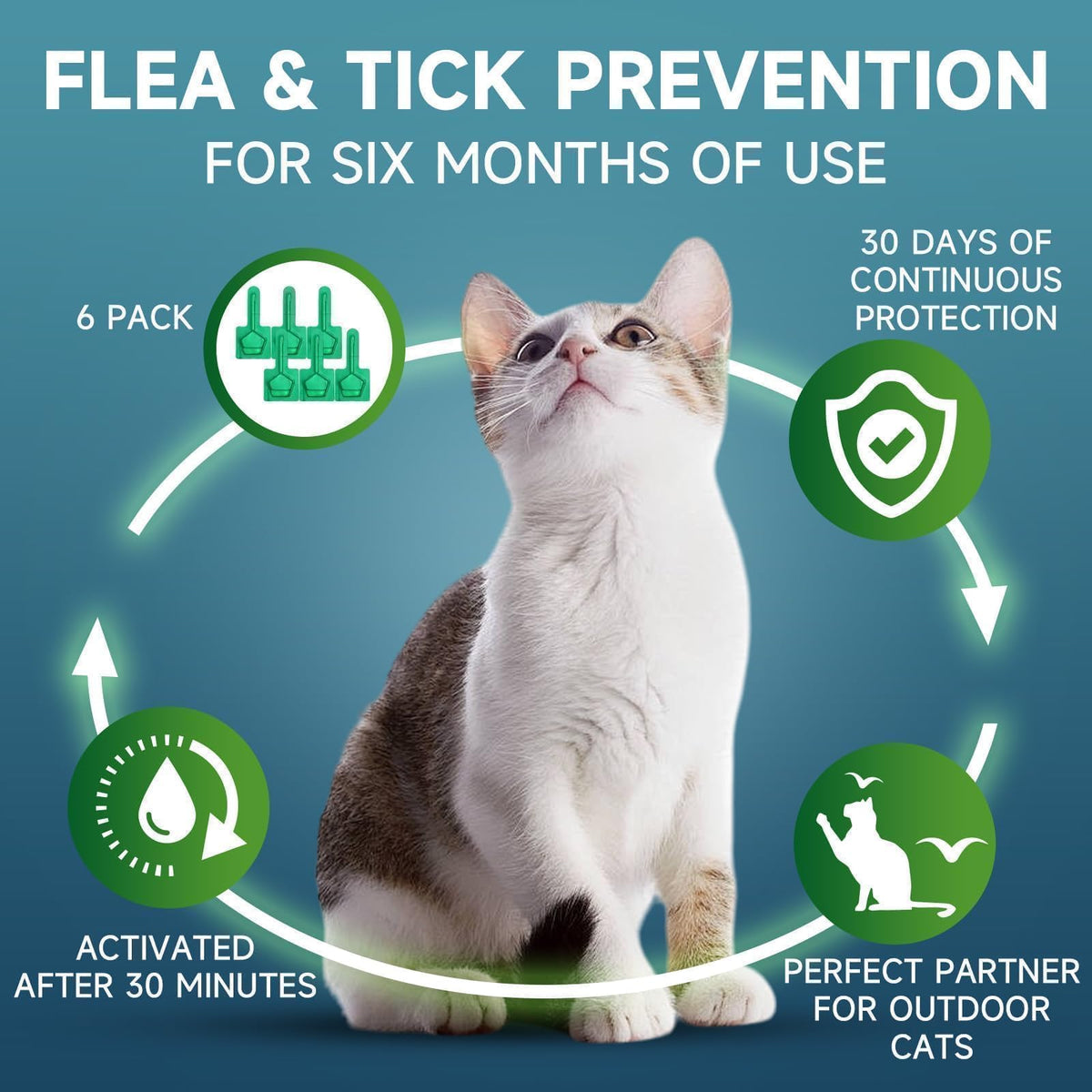 VICSOM Cat Flea Treatment, Flea and Tick Prevention for Cats, 6 Doses