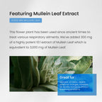 NutraChamps Mullein Leaf Extract for Lung Detox Extra Strength Lung Cleanse for Smokers, Mullein Capsules Lung Support Supplement for Respiratory Lung Health