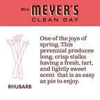 Buy now MRS. MEYER'S CLEAN DAY Hand Soap, Made with Essential Oils, Rhubarb, 12.5 fl. oz at indiglob india