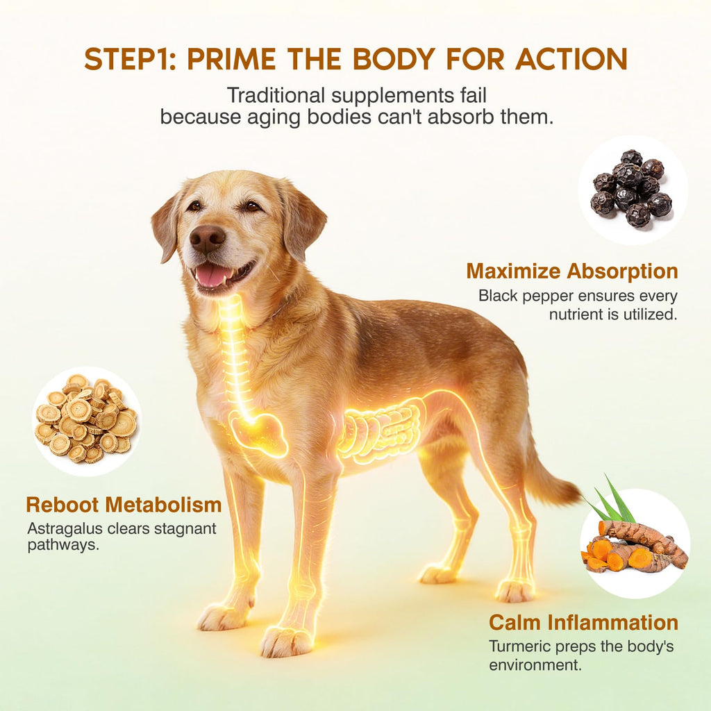 Turkey Tail Mushroom for Dogs,Senior Dog Supplement for Lumps, Bumps & Lipoma,Soft Chews with Reishi, Maitake, Turmeric & Astragalus,Supports Immune Health,Natural Chicken Flavor, 120 Count