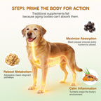 Turkey Tail Mushroom for Dogs,Senior Dog Supplement for Lumps, Bumps & Lipoma,Soft Chews with Reishi, Maitake, Turmeric & Astragalus,Supports Immune Health,Natural Chicken Flavor, 120 Count